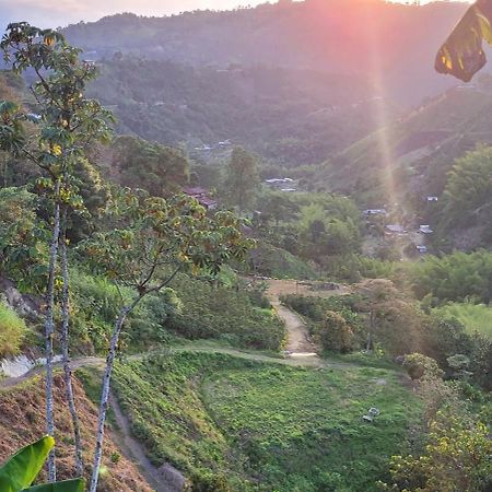 Finca Los Tucanes Vendégház Villamaría Kültér fotó