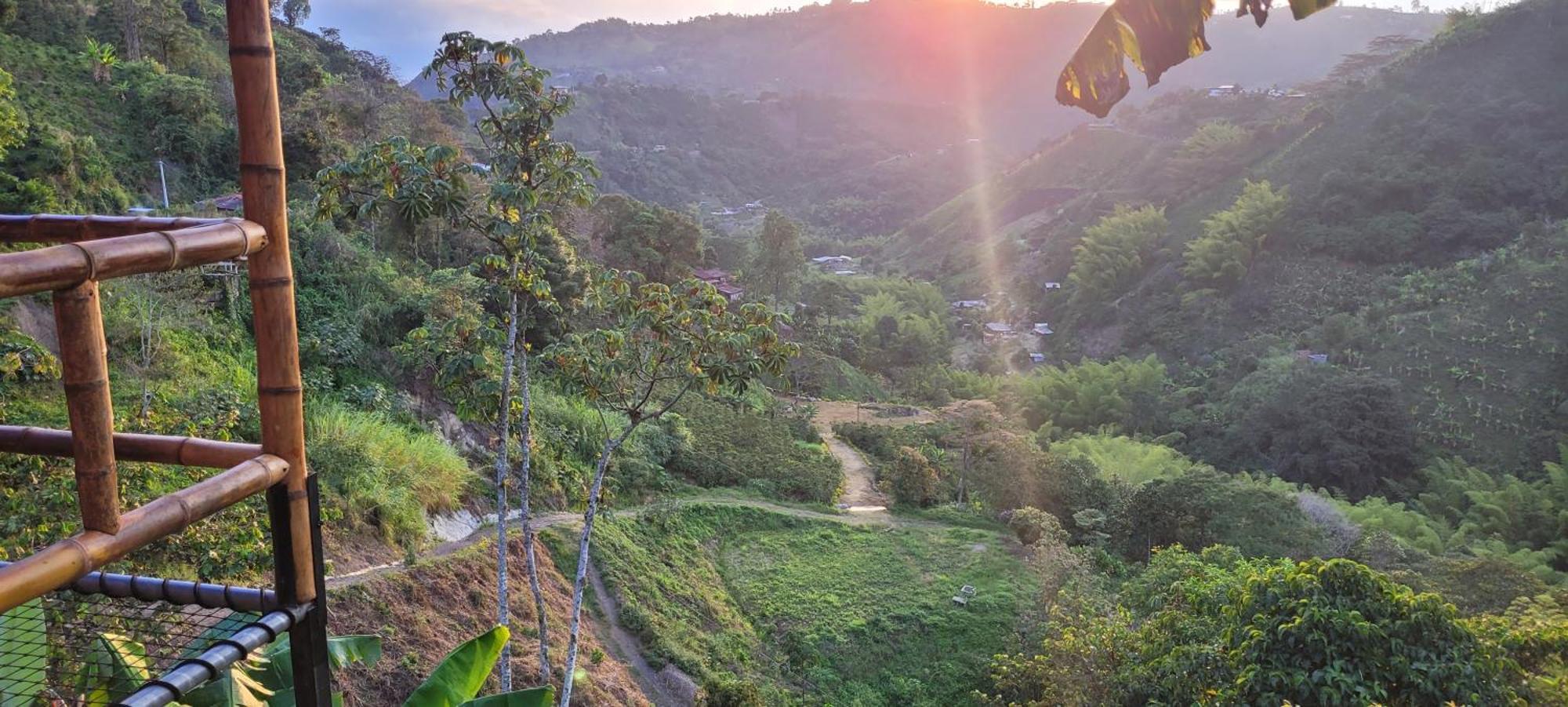 Finca Los Tucanes Vendégház Villamaría Kültér fotó